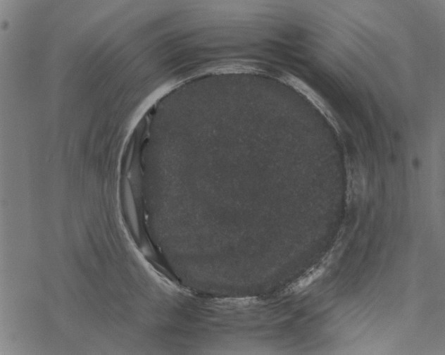 X0000077390853200611031959