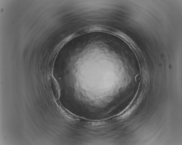 X0000077390857200611032000