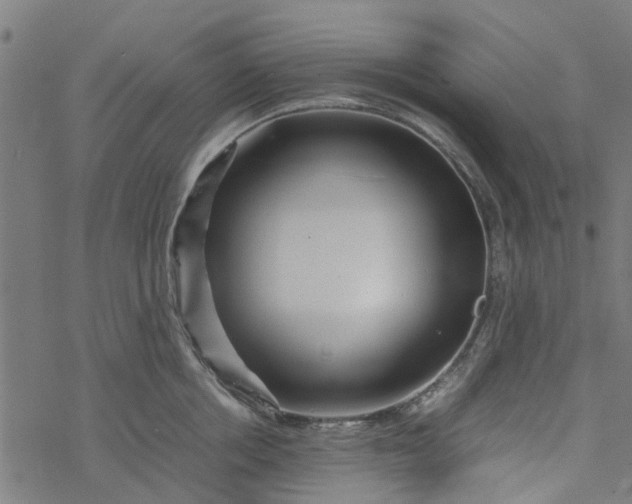 X0000077390858200611032000