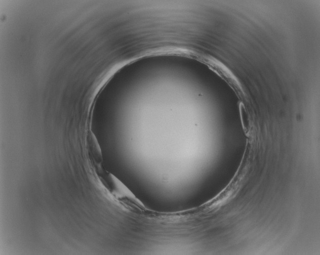 X0000077390860200611032000