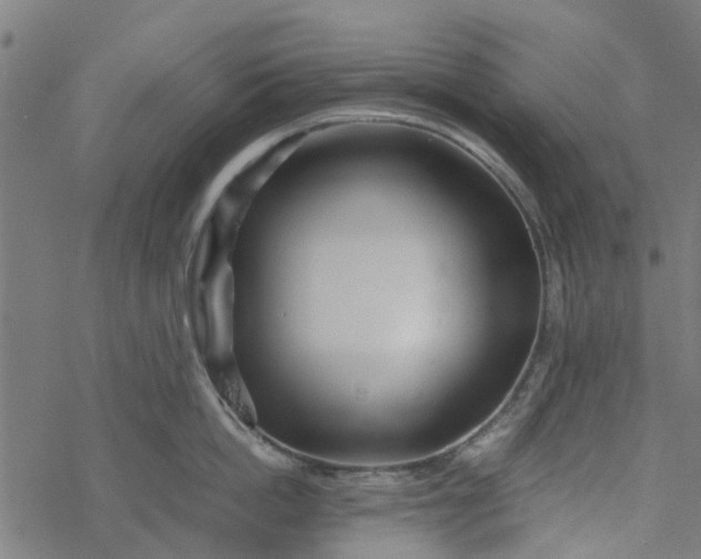 X0000077390862200611032000