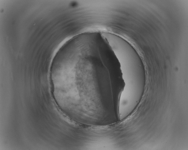 X0000077390864200611032000