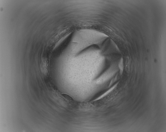 X0000077390866200611031959