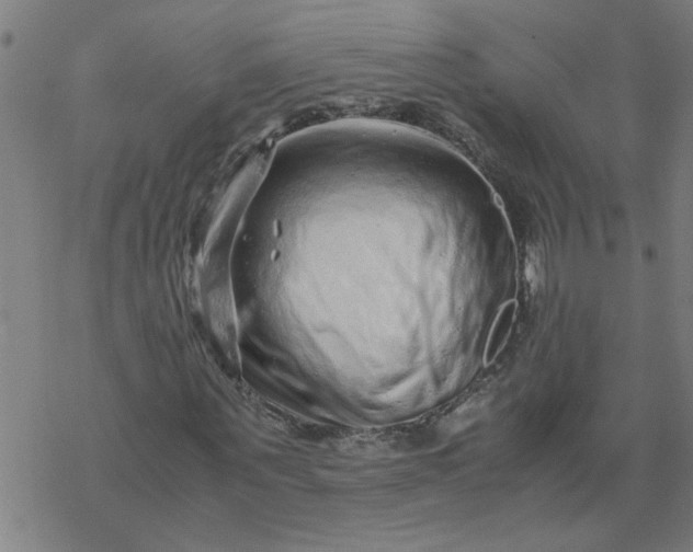 X0000077390867200611031959