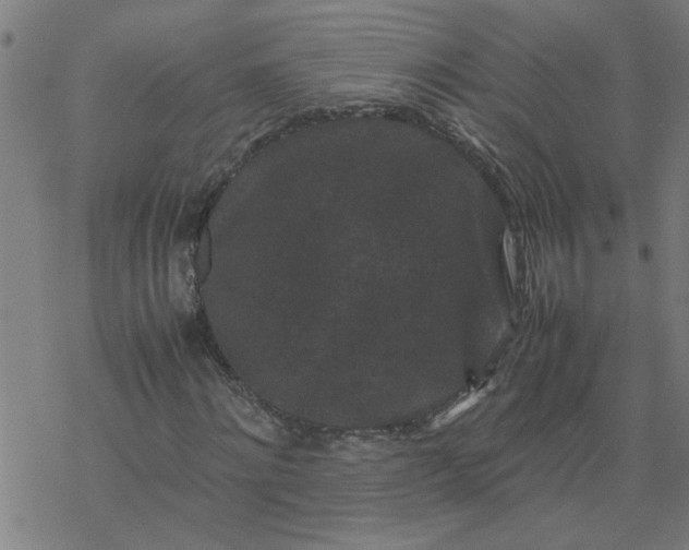 X0000077390868200611031959