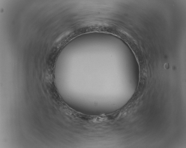 X0000077390869200611031959