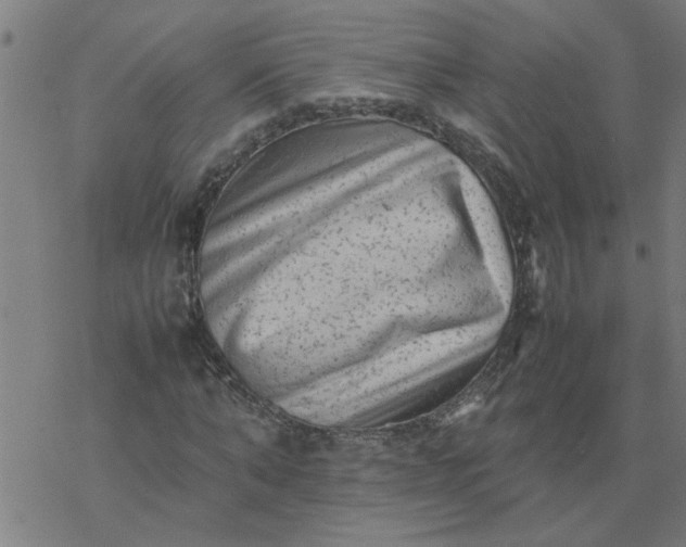 X0000077390870200611031959