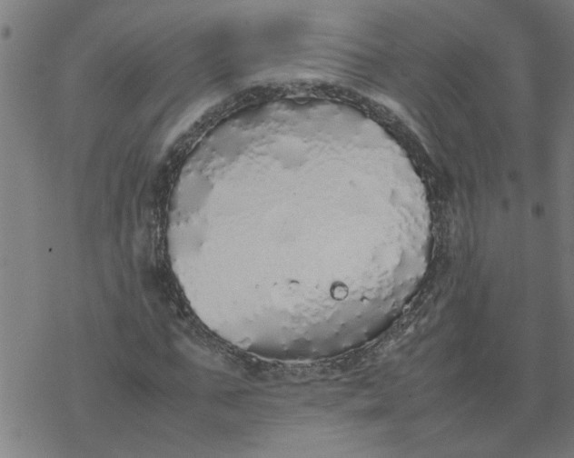 X0000077390871200611031959