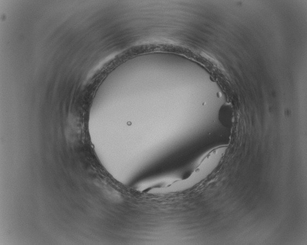 X0000077390872200611031959