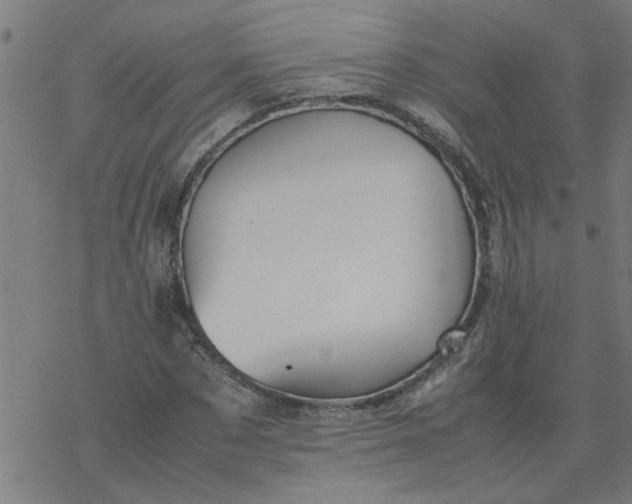 X0000077390873200611031959