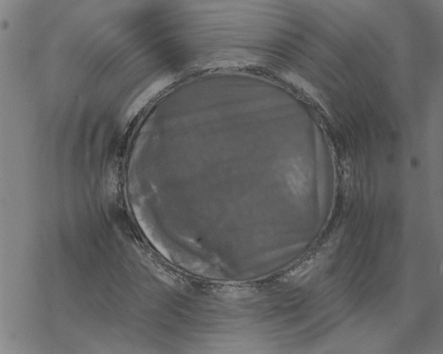 X0000077390874200611031959