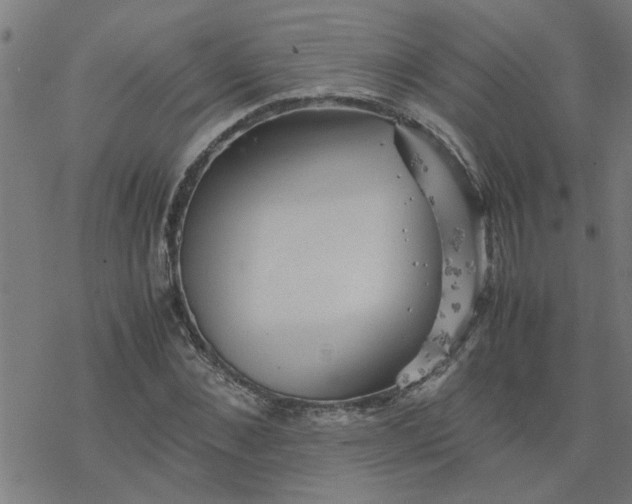 X0000077390876200611031959