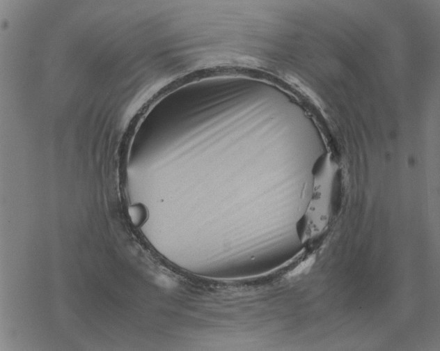 X0000077390877200611031959