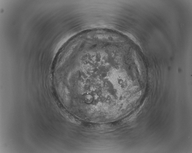 X0000077390879200611031959