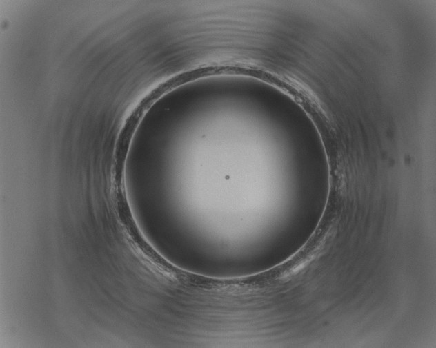 X0000077390880200611031959