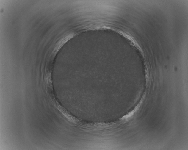 X0000077390881200611031959