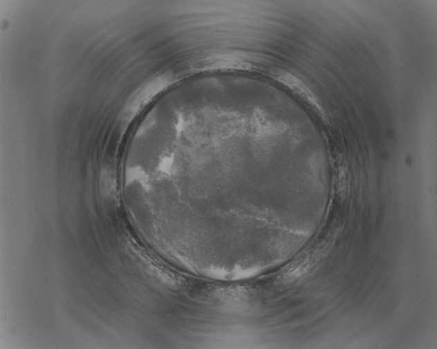 X0000077390882200611031959