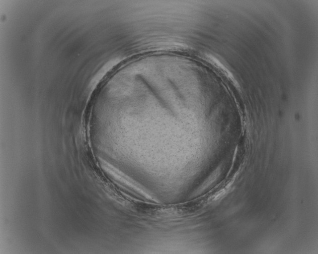 X0000077390883200611031959