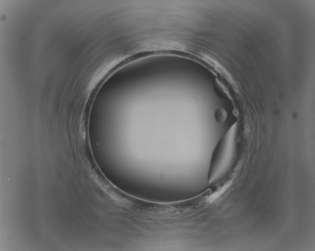 X0000077390885200611031959