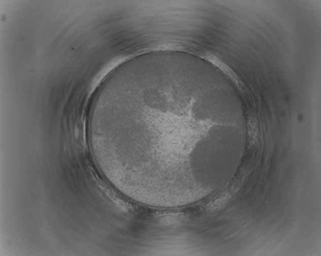 X0000077390886200611031959