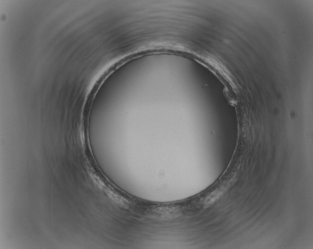 X0000077390888200611031959