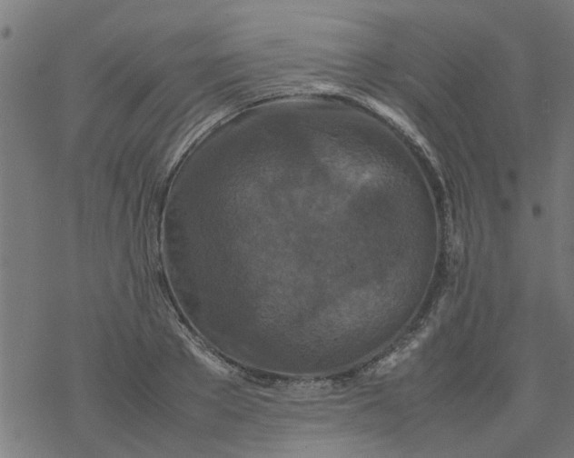 X0000077390889200611031959