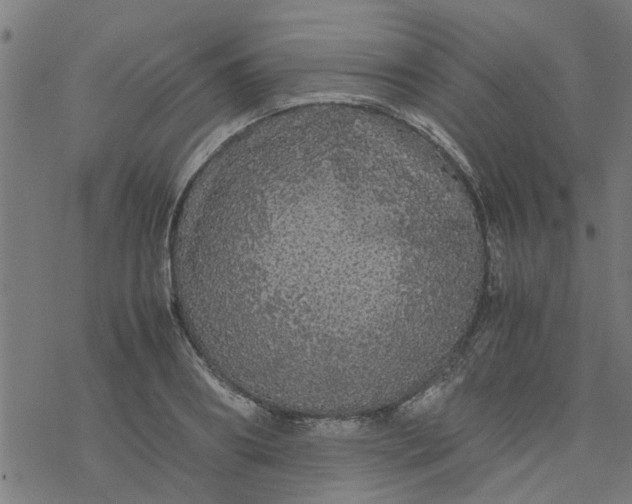 X0000077390890200611031958