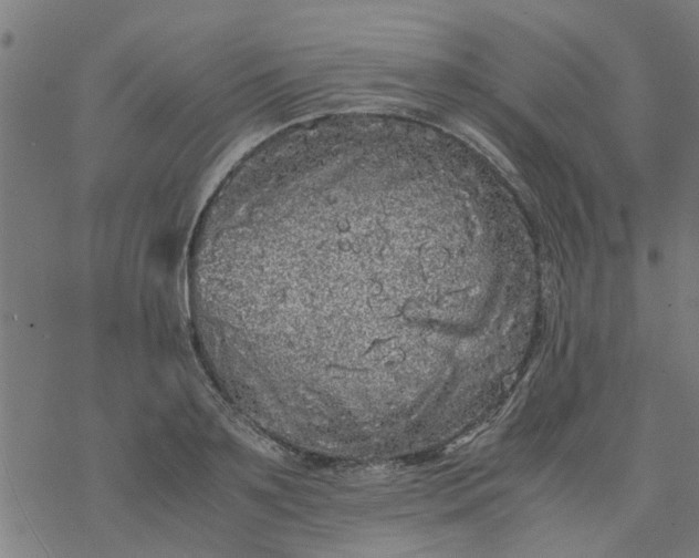 X0000077390891200611031958