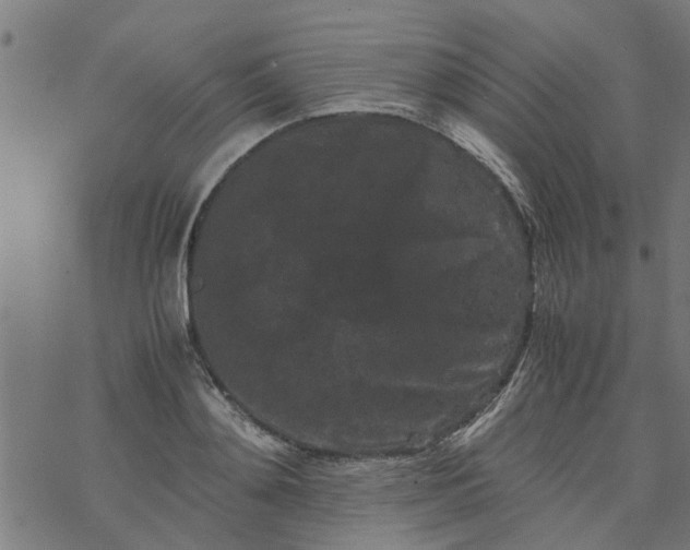 X0000077390892200611031958