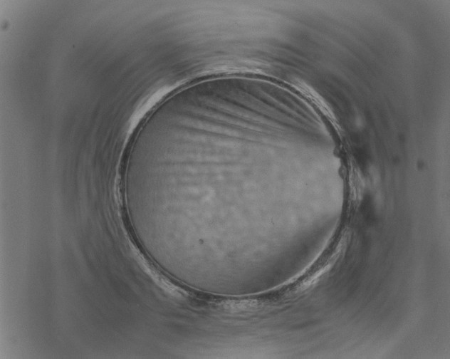 X0000077390893200611031958