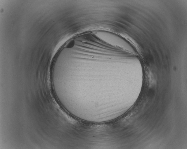 X0000077390894200611031958