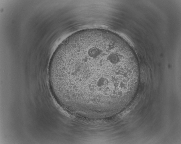 X0000077390895200611031958