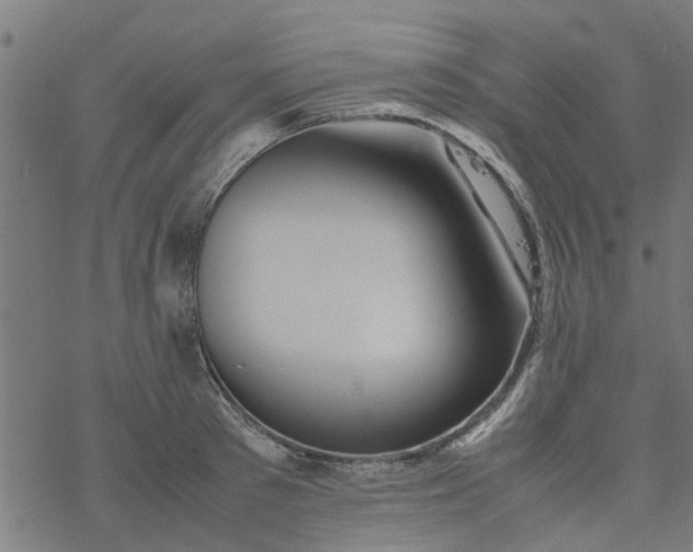 X0000077390897200611031958