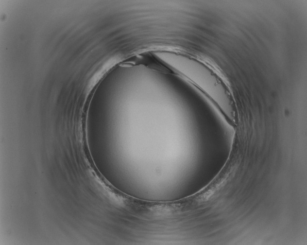 X0000077390898200611031958