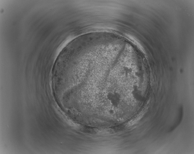 X0000077390899200611031958