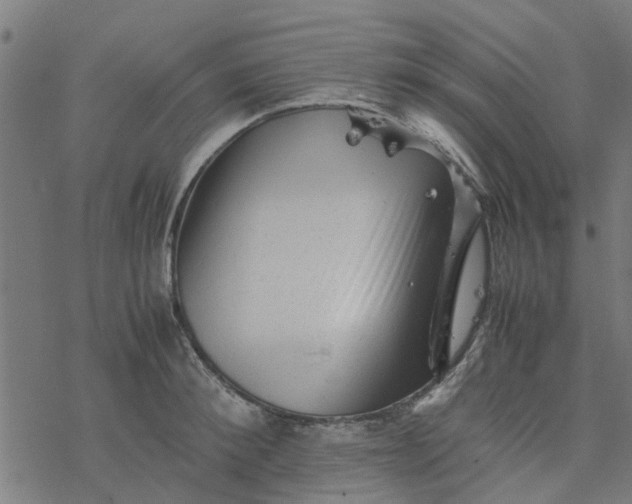 X0000077390900200611031958