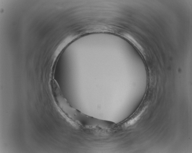 X0000077390901200611031958