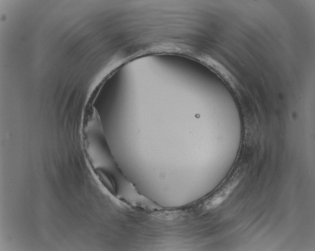 X0000077390902200611031958