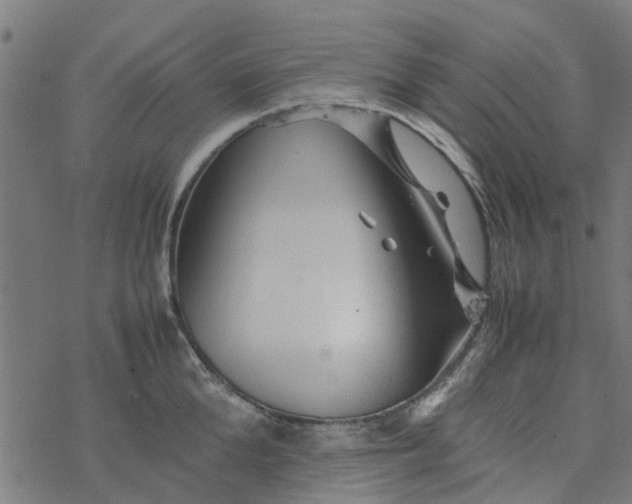 X0000077390904200611031958