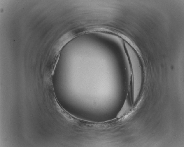 X0000077390905200611031958