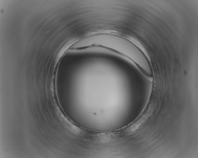 X0000077390906200611031958