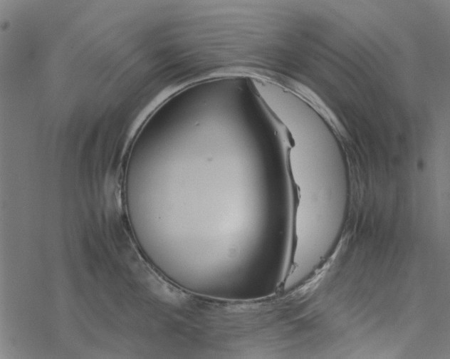 X0000077390908200611031958