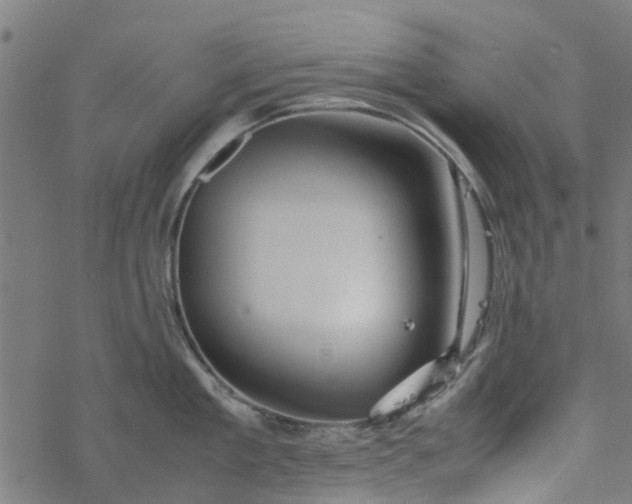 X0000077390909200611031958