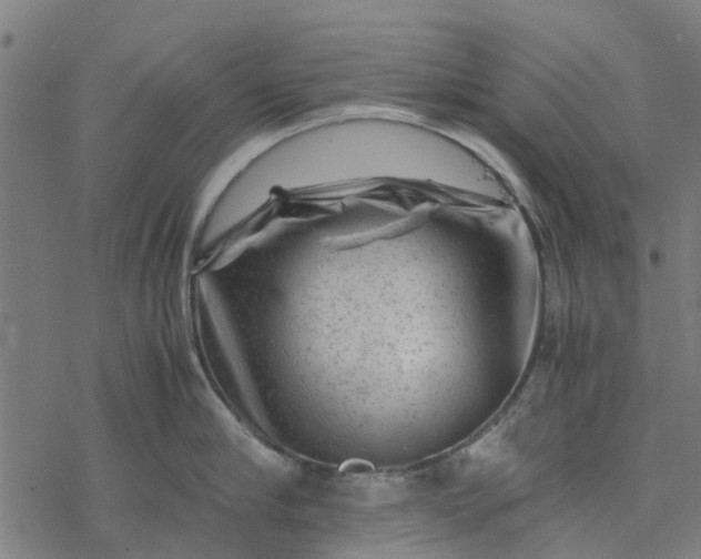 X0000077390910200611031958