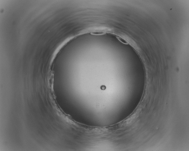 X0000077390912200611031958