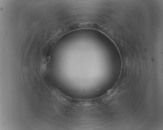 X0000077390914200611031957