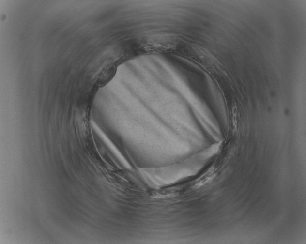 X0000077390915200611031957