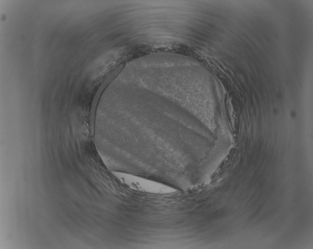 X0000077390916200611031957