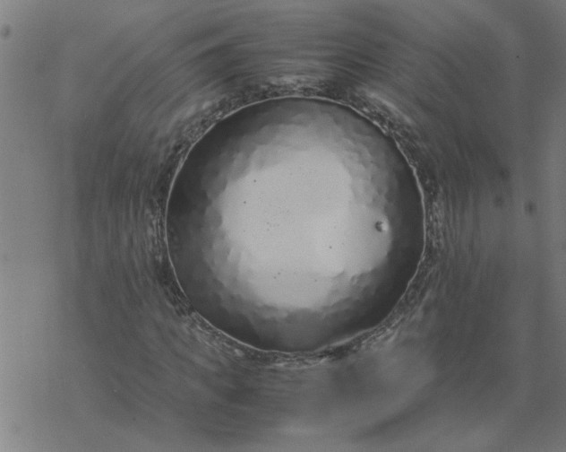 X0000077390917200611031957