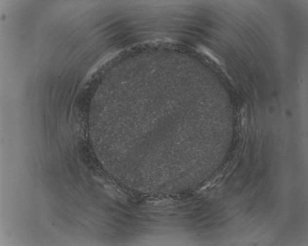 X0000077390919200611031957